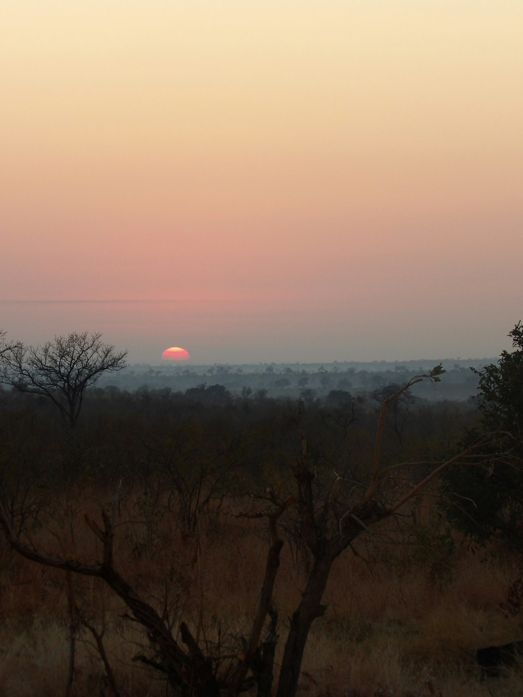 Sunrise over the bushveld in Kruger National Park